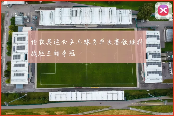 伦敦奥运会乒乓球男单决赛张继科战胜王皓夺冠