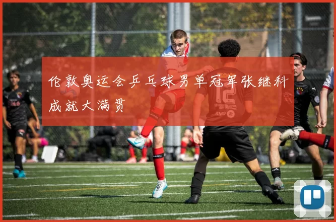 伦敦奥运会乒乓球男单冠军张继科成就大满贯