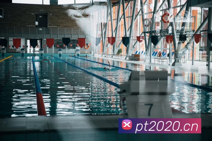 App Interface Preview